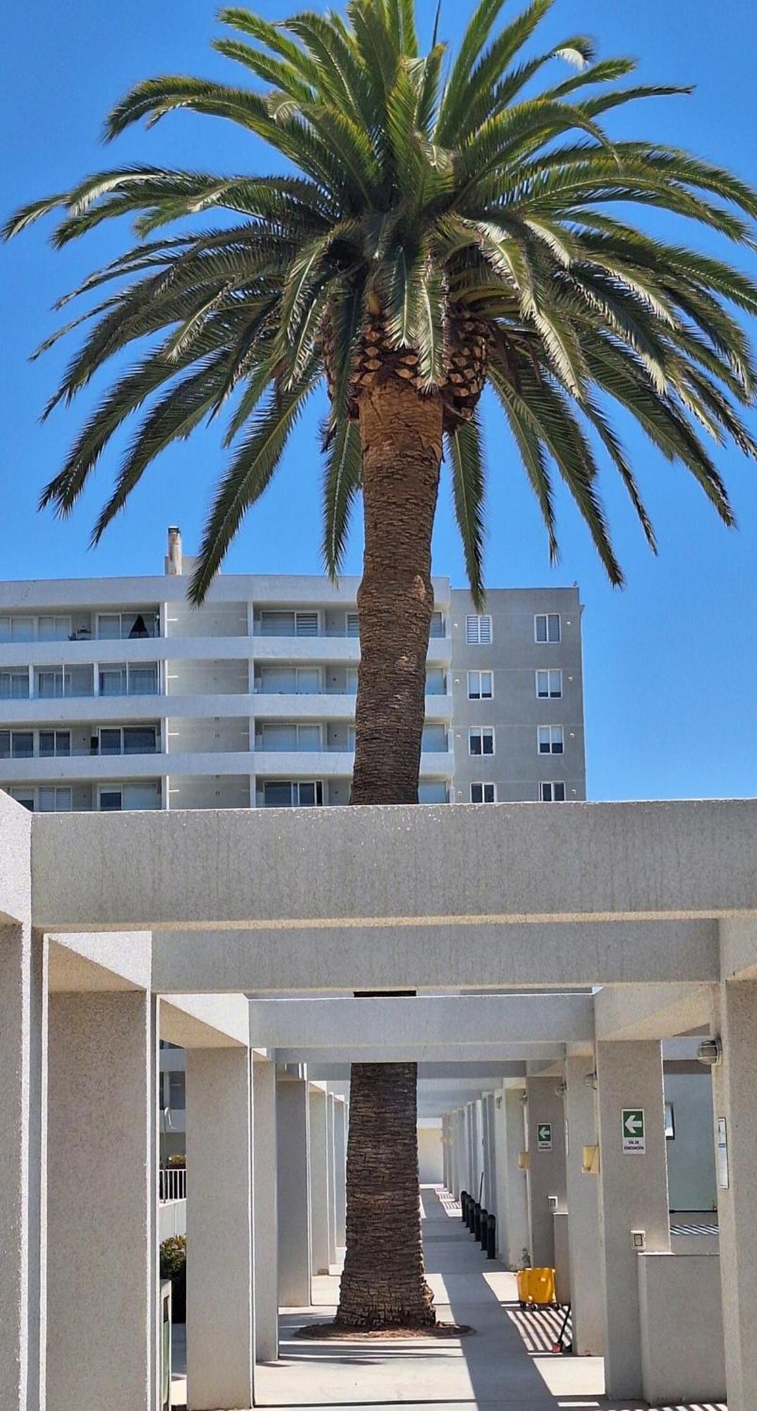 Departamento-sector 4 Esquinas * La Serena
